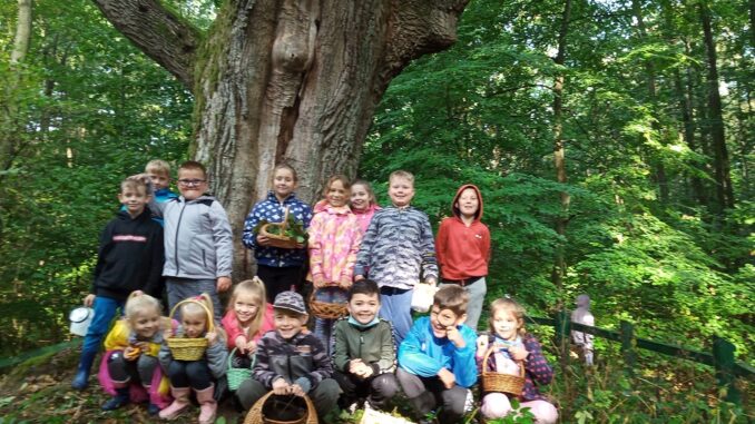 Z okazji Dnia Wolnej Sali klasa 2 a i 2 d wybrały się na lekcję przyrodniczą do pobliskiego lasu.