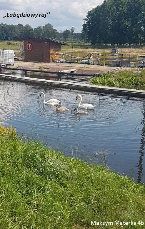 Zdjęcia przyrody i przedmiotów martwych-konkurs fotograficzny